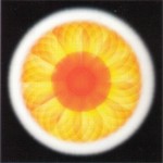 Heart Chakra