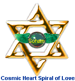 Cosmic Heart Spiral of Love Logo